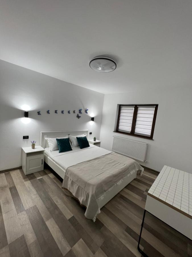 Sunny Luxury Home G. Enescu Suceava Extérieur photo