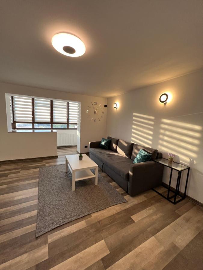 Sunny Luxury Home G. Enescu Suceava Extérieur photo